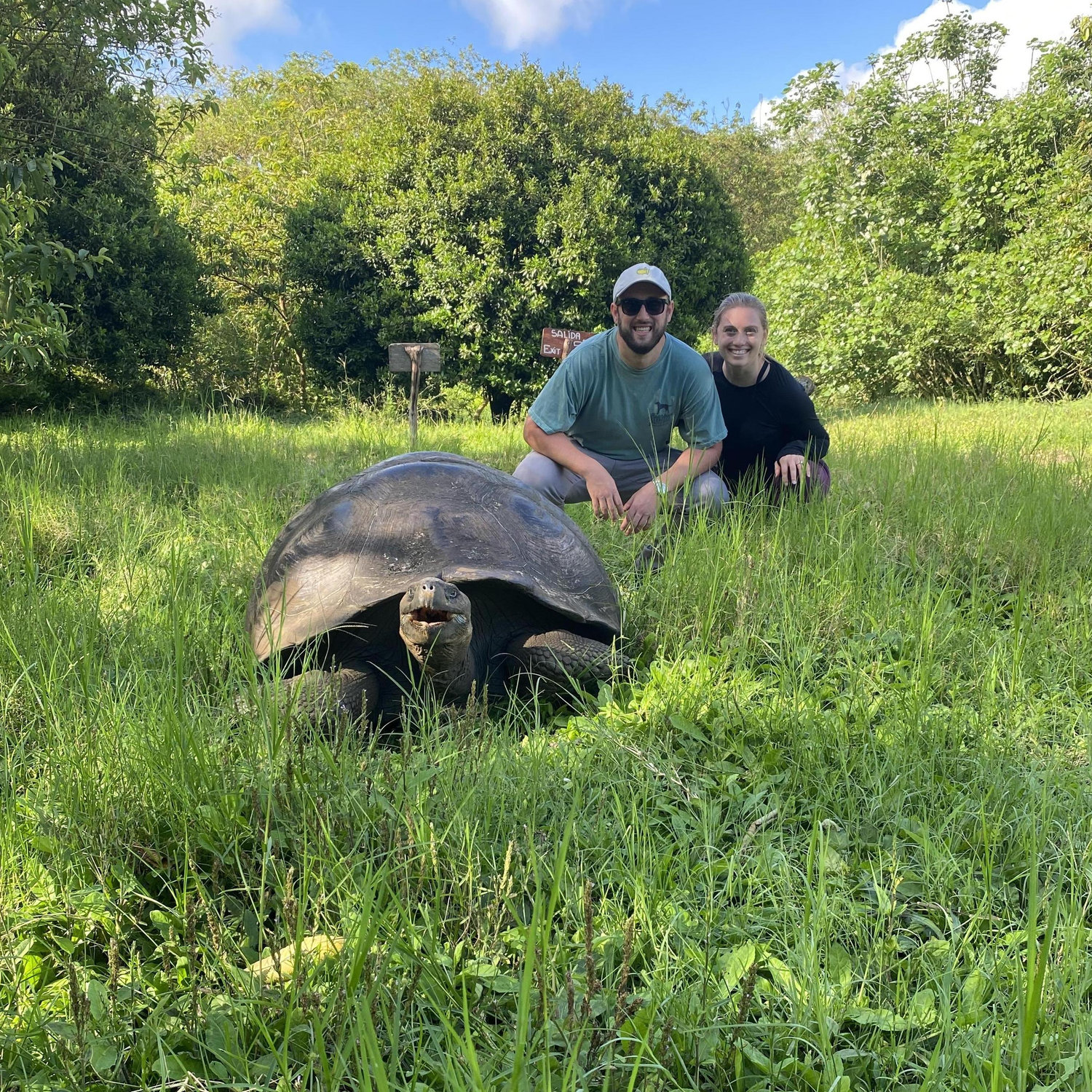 Met a friendly tortoise in the Galápagos Islands