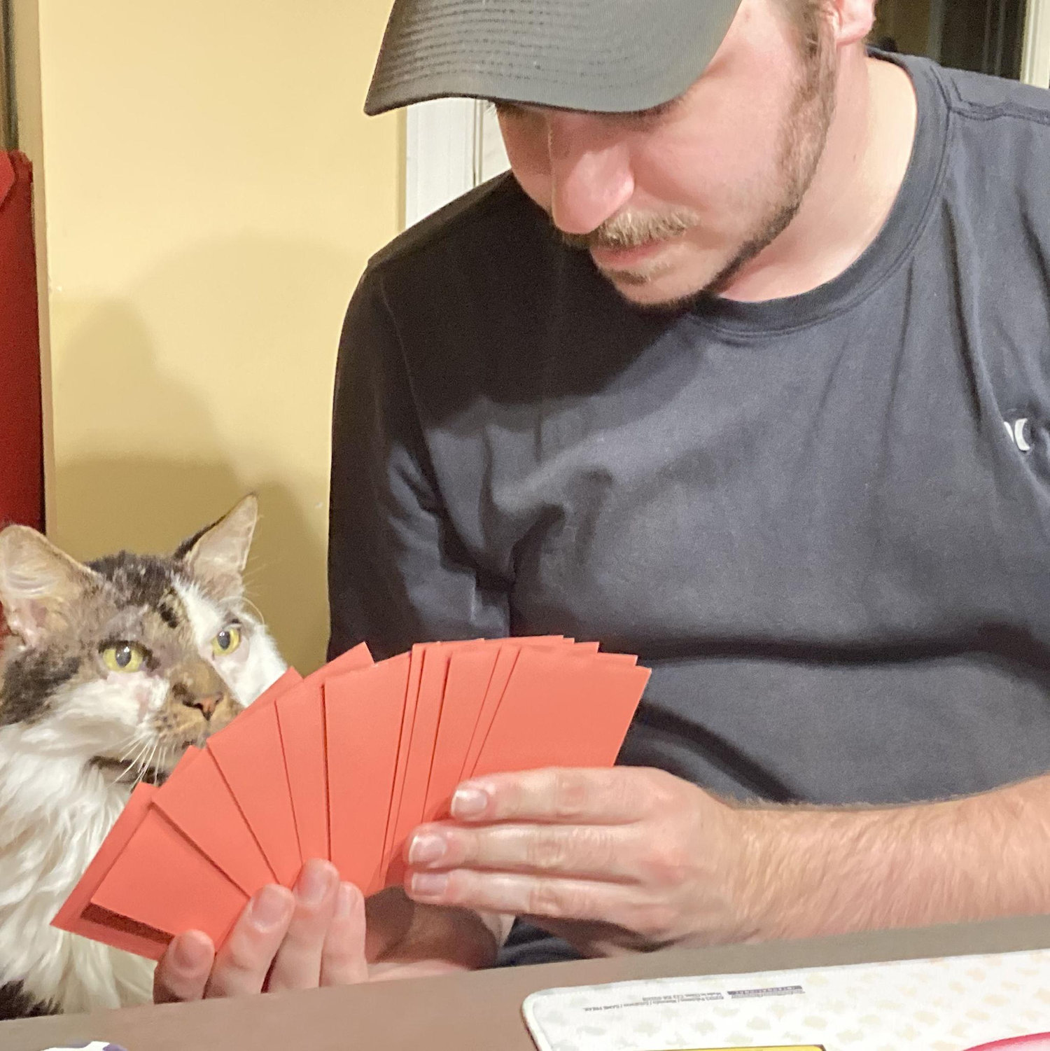 Tim cheating in Pokemon cards (2022)