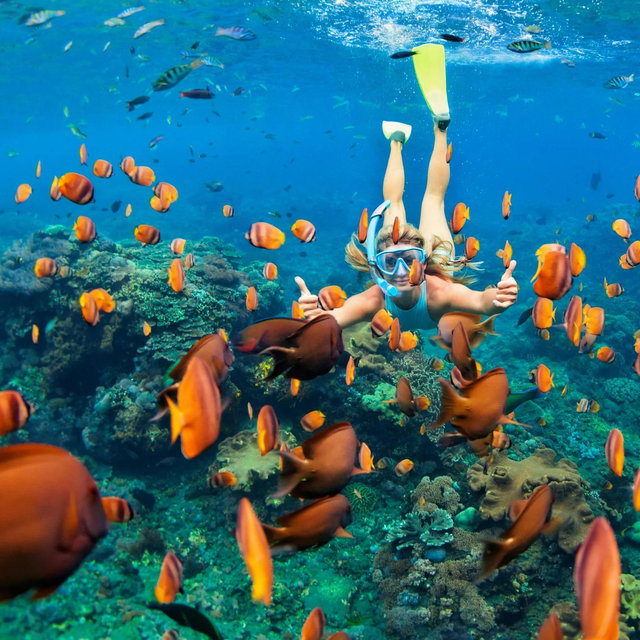 Molokini Crater Snorkling