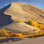 Bruneau Sand Dunes
