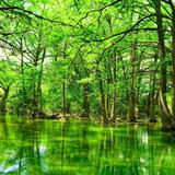 Blue Hole Regional Park