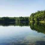 Walden Pond
