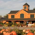 Sweet Berry Farm