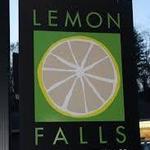 Lemon Falls Cafe/Marketplace