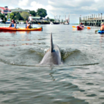 Coastal Expeditions on Shem Creek