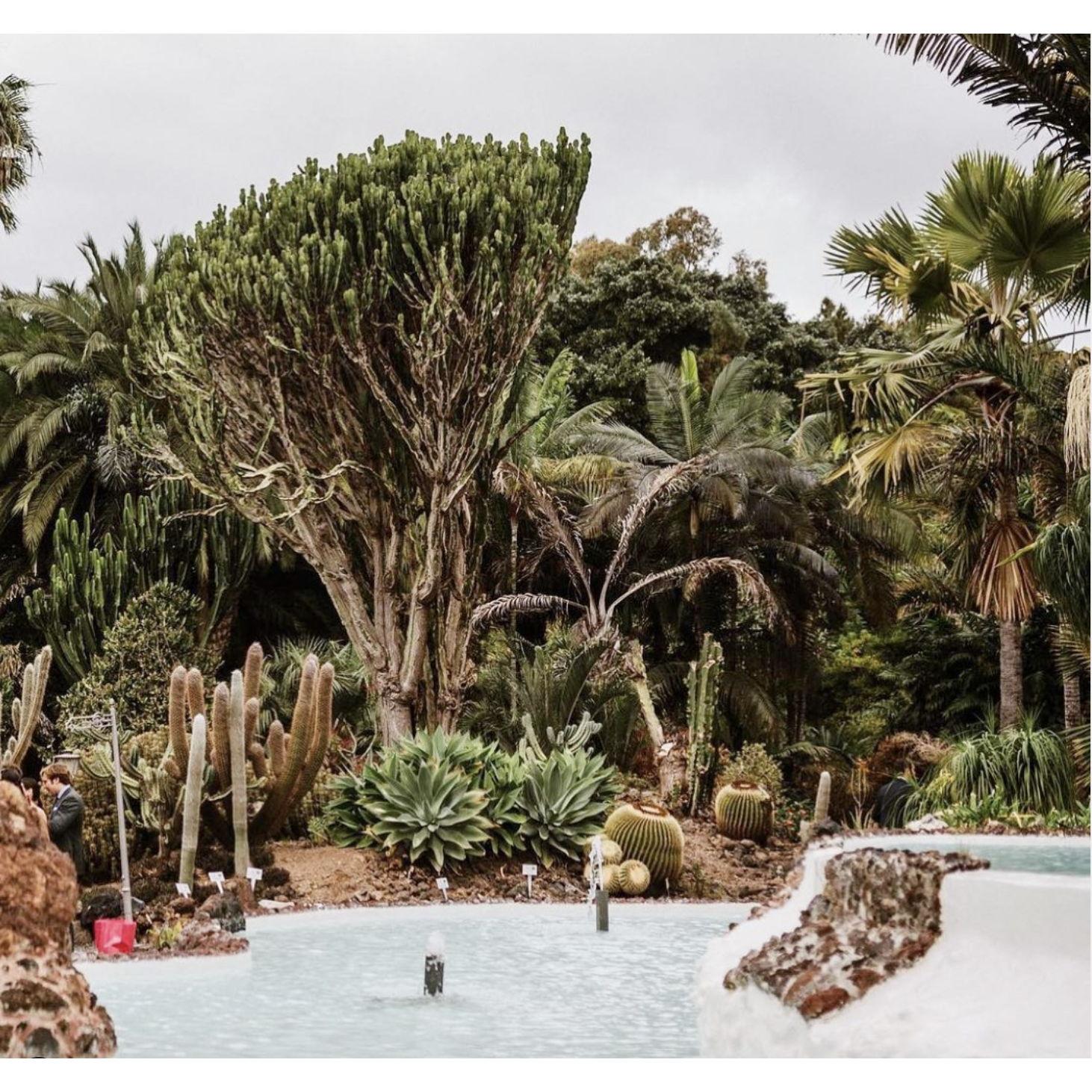 Jardin de la Marquesa de Arucas