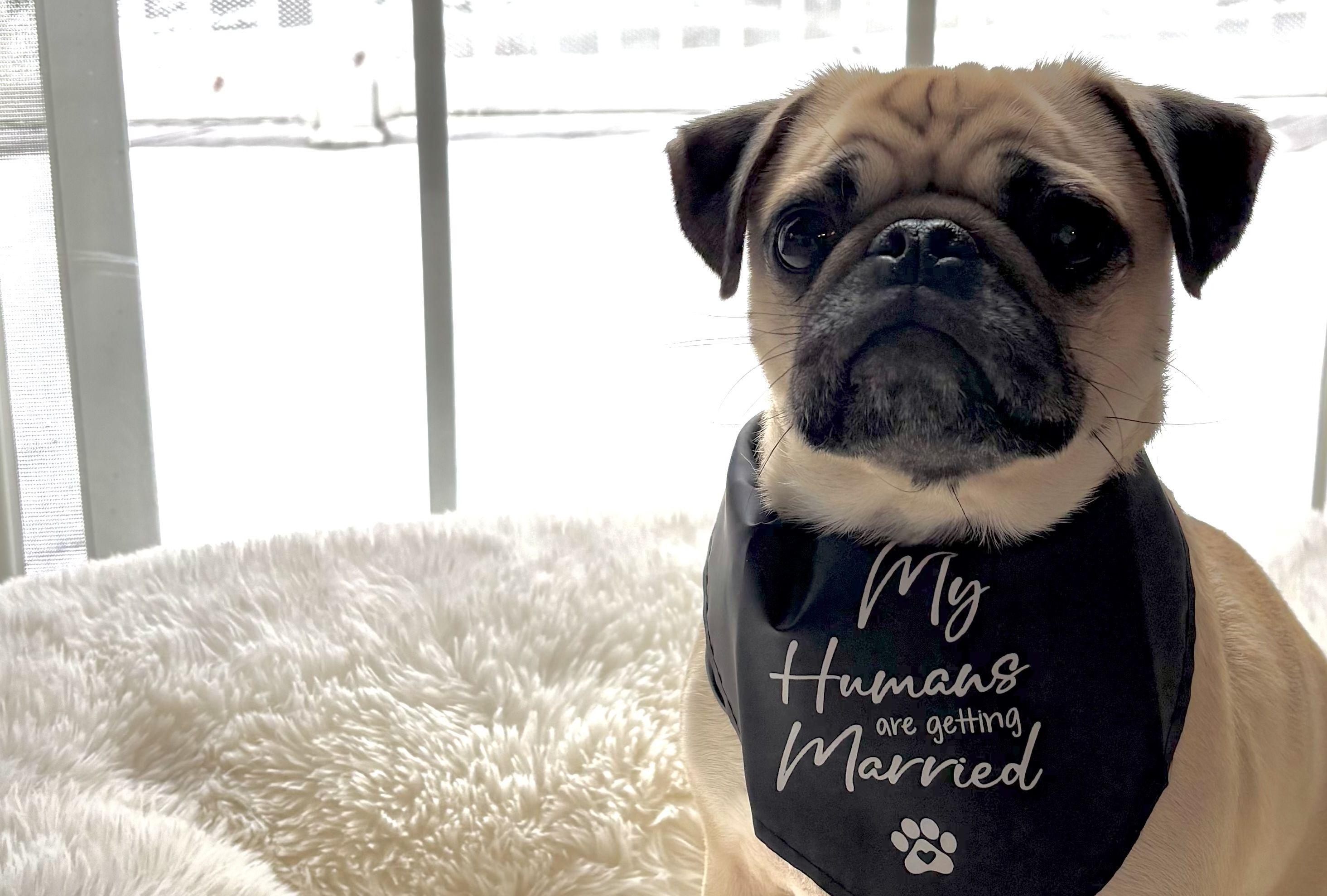 The Wedding Website of Alyssa Burch and Matthew Green