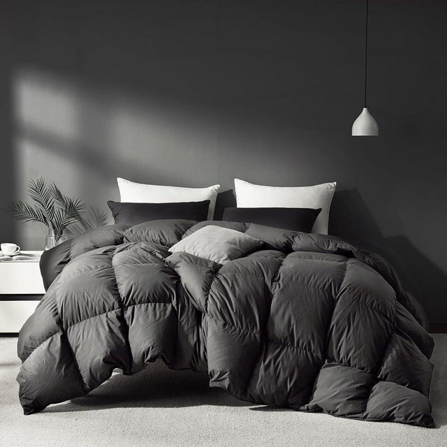Saisier Grey Goose Feathers Down Fiber Comforter, Premium All Season Duvet Insert Oversized King, 750+ Fill 1200TC Power Hotel Style Comforter, 58 Oz Lightweight and Medium Warmth(116x96, Dark Grey)