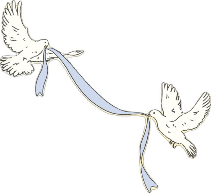 The Wedding Website of Brian Andrew and Rosalie Josephine