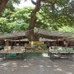 Olowalu Farmers Market LLC