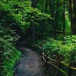 Hiking in Portland