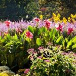 Cheekwood Gardens