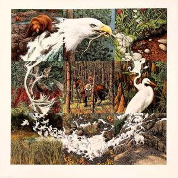 Bev Doolittle Artwork