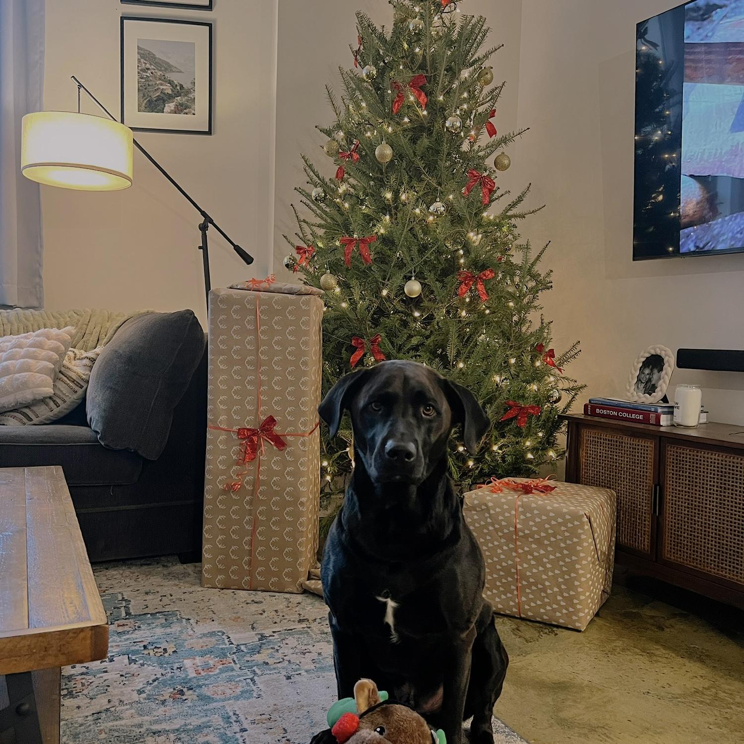 Our first Christmas living together