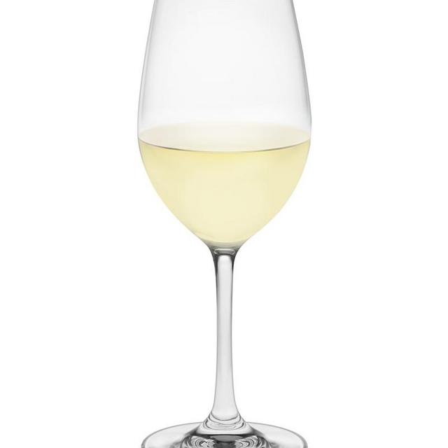 Open Kitchen by Williams Sonoma White Wine Glasses, Set of 12