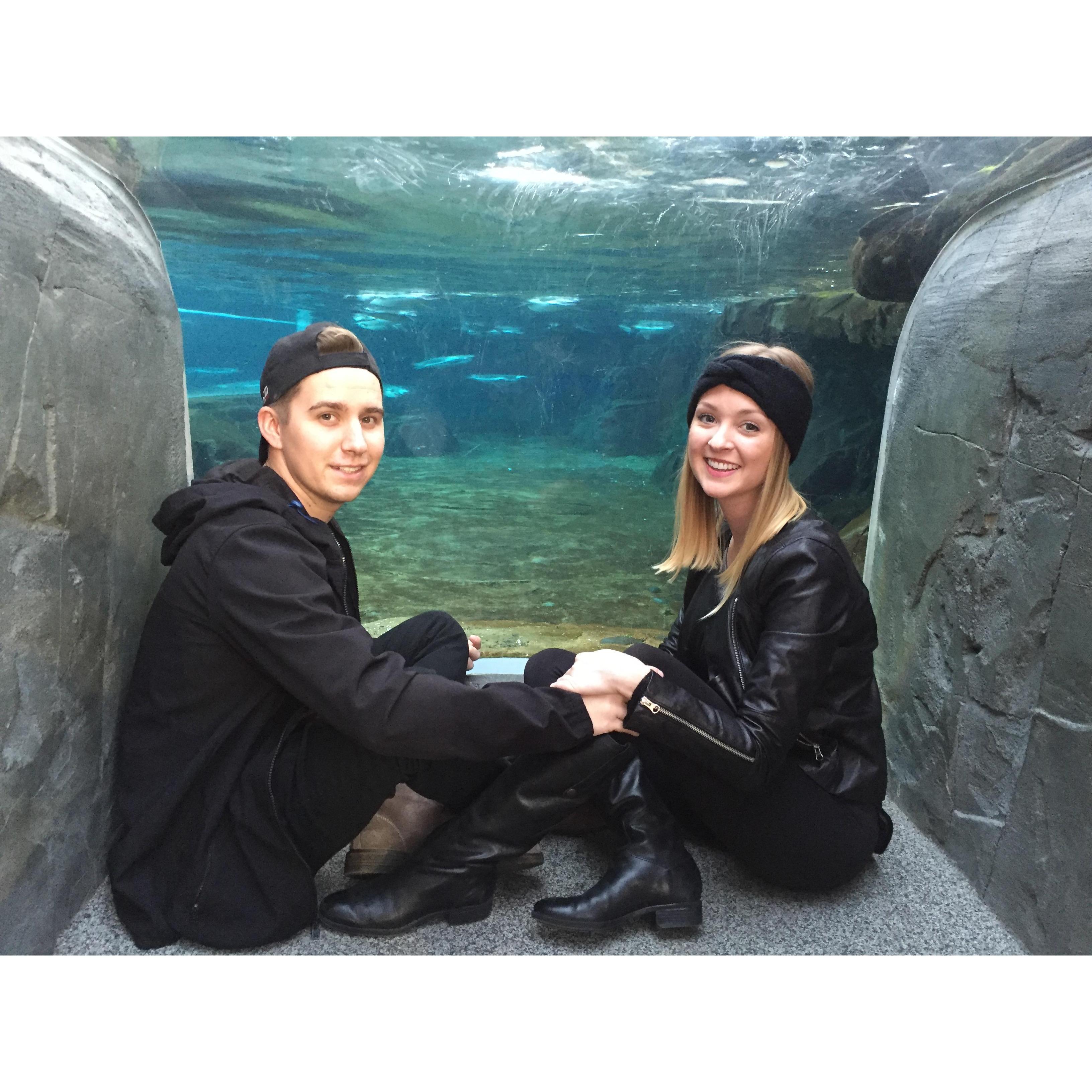 A date to the aquarium to celebrate our first anniversary together. We adored the penguins!