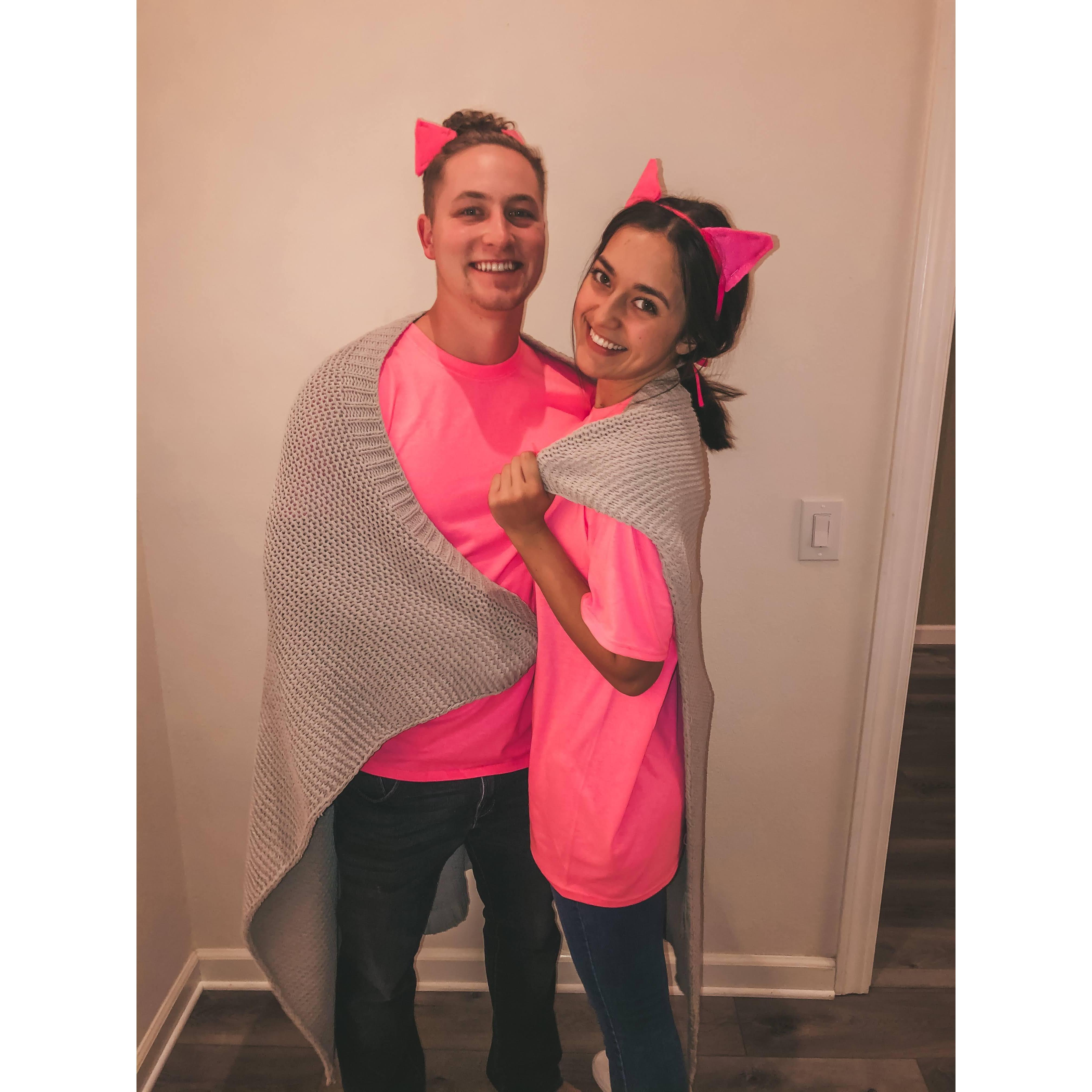 Two pigs in a blanket