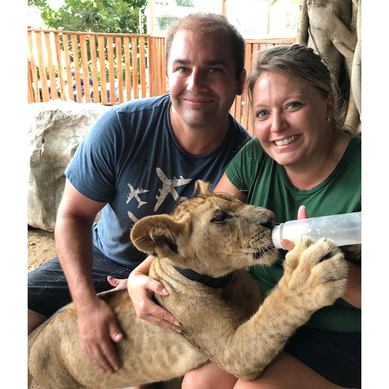 Lions and tigers and leopards and elephants and monkeys, oh my! Thailand 2017