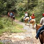 Blue Ridge Mountain Trail Rides