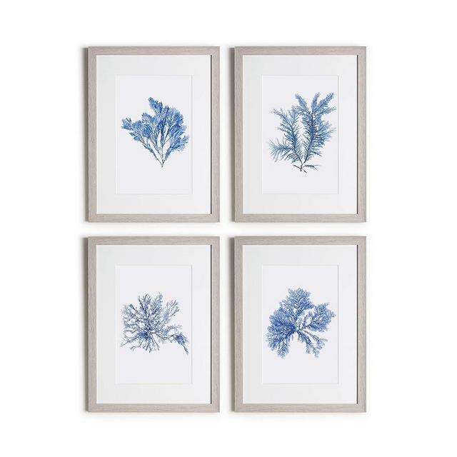 Framed Blue Coral Wall Art Set - 4 Pieces, 12x16 Inches, Coral Clipart in Blue Hues with Acrylic Screen Frame, White Background for Coastal Home Decor