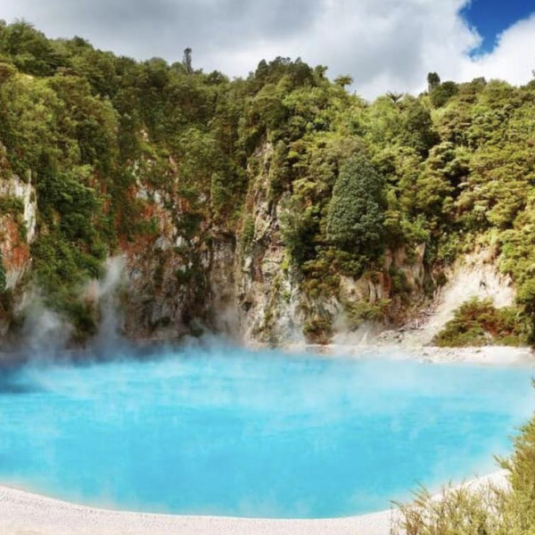 Flight to Rotorua | Honeymoon