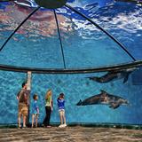 Indianapolis Zoo