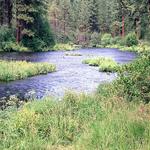 Metolius River