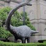 Dippy the Dinosaur