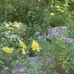 Bowman's Hill Wildflower Preserve