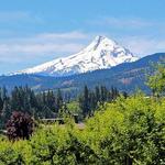 7. Explore Mount Hood