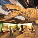 Museum Of Science