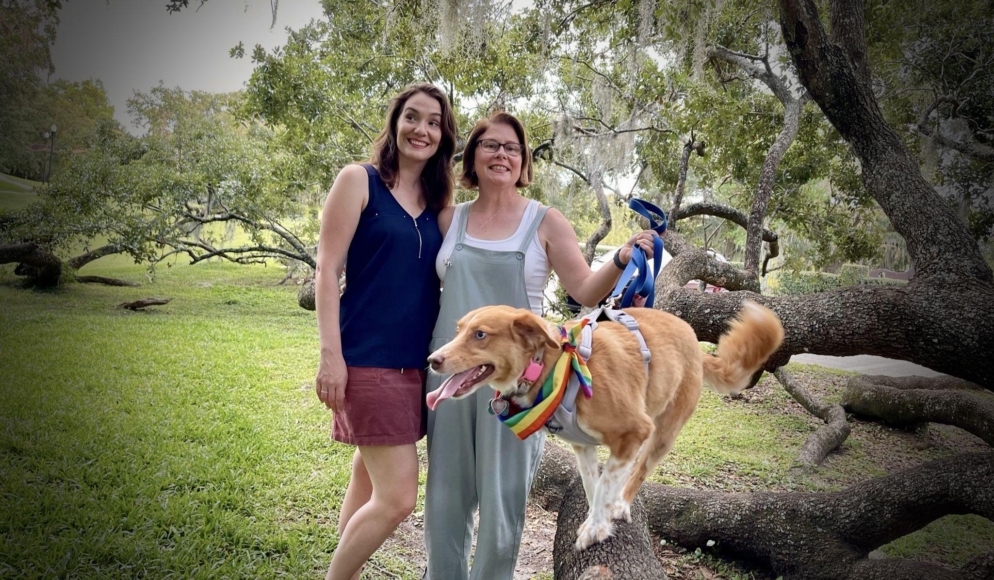 Hero Slideshow Image 1