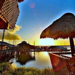 The Conch House Restaurant