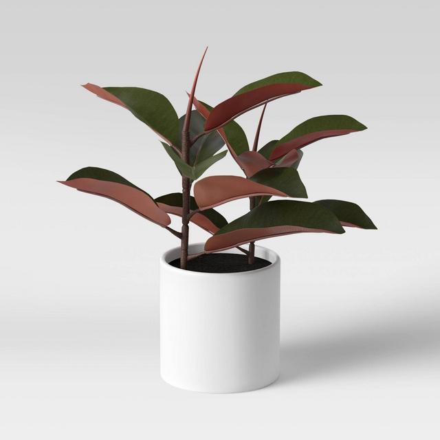 15" x 10" Artificial Rubber Plant in Ceramic Pot - Project 62™