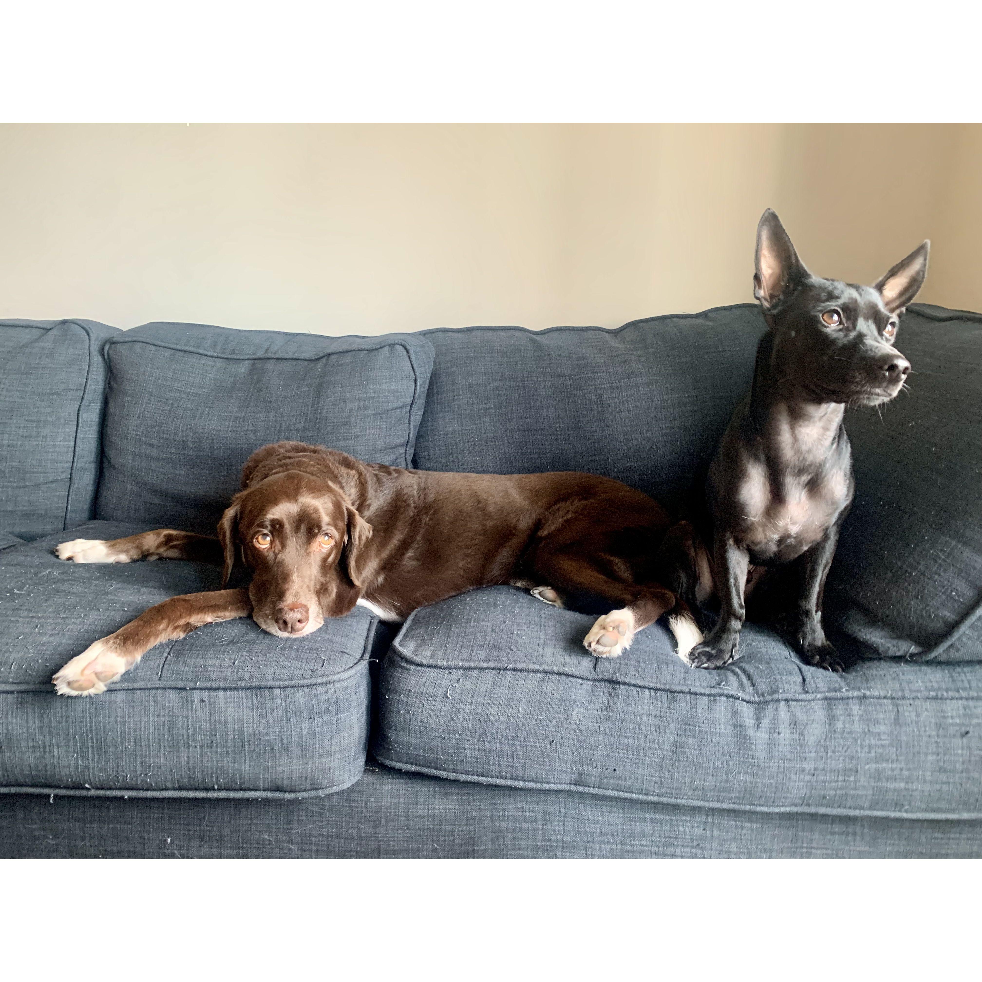 Our boys