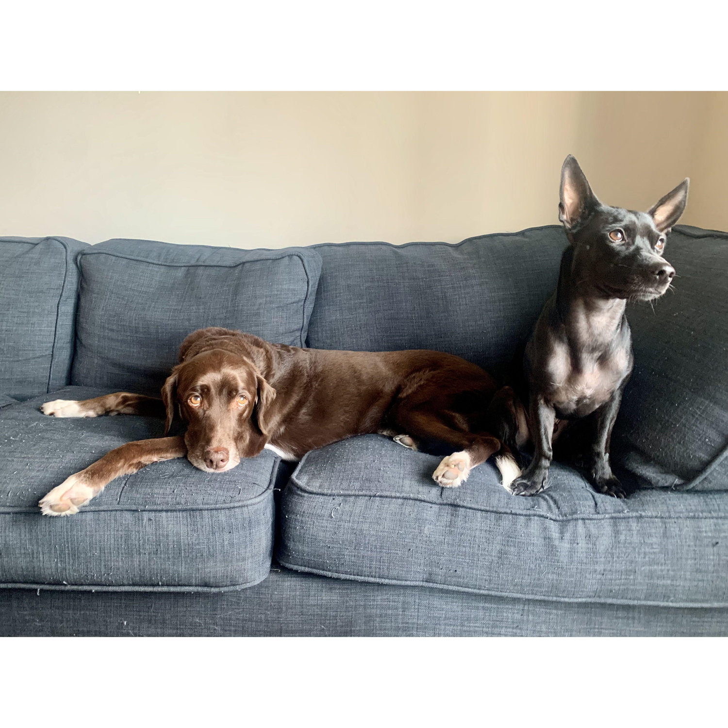 Our boys