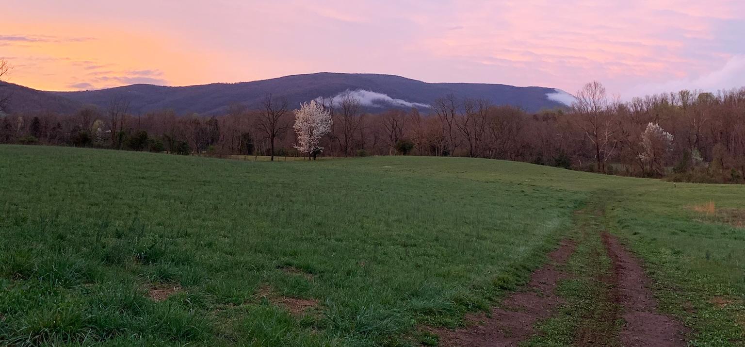 The Wedding Website of Corry Craighill and Jake Van Yahres