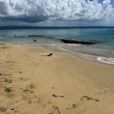 Crash Boat Beach