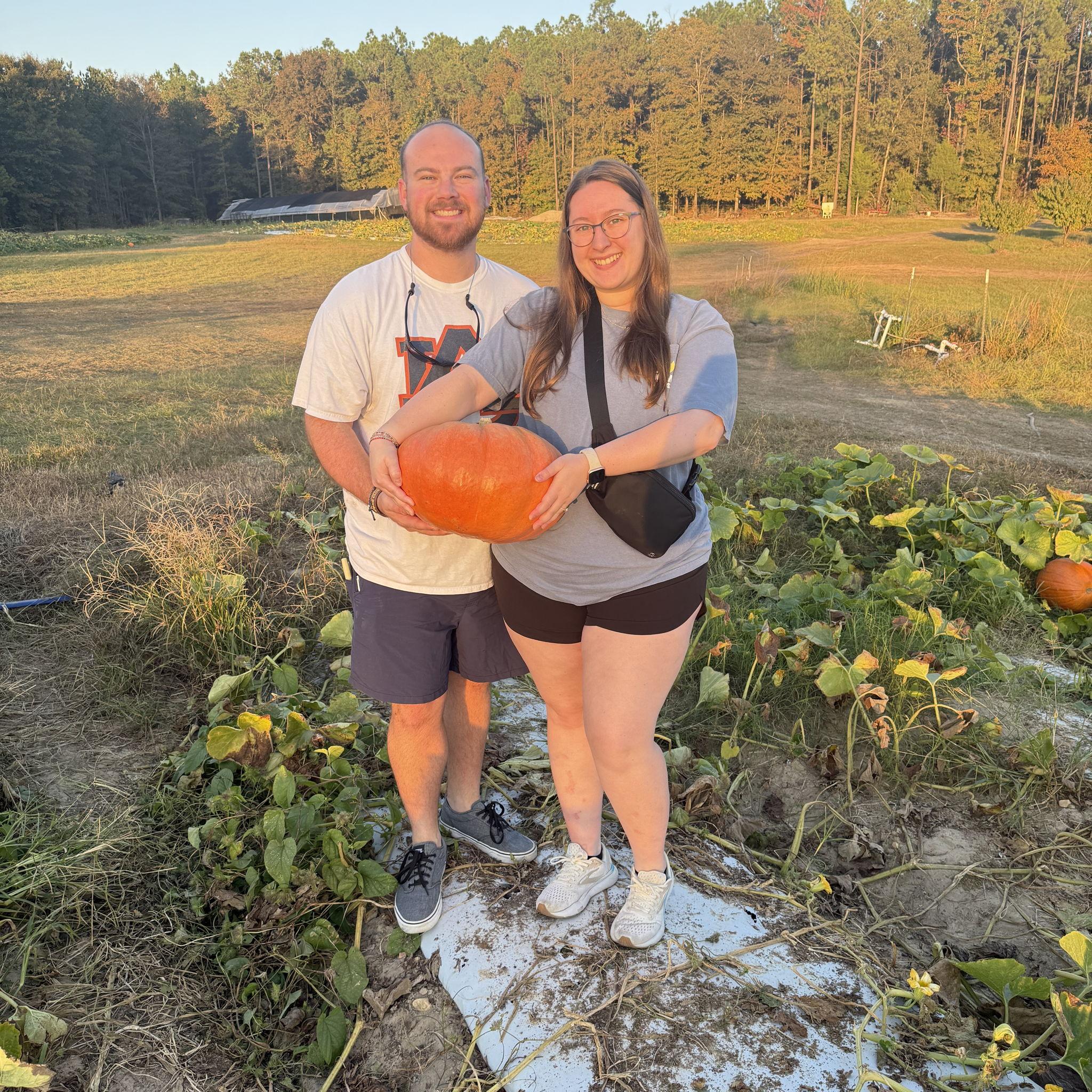 Pumpkin Patch in Auburn 2024