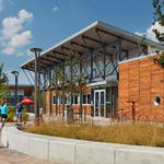 New Belgium Brewing Company