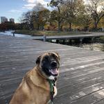 Charles River Esplanade & The Owl's Nest