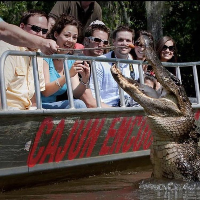 New Orleans Swamp Tour
