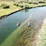 Float the Teton River