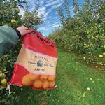 Apple Picking at Fishkill Farms