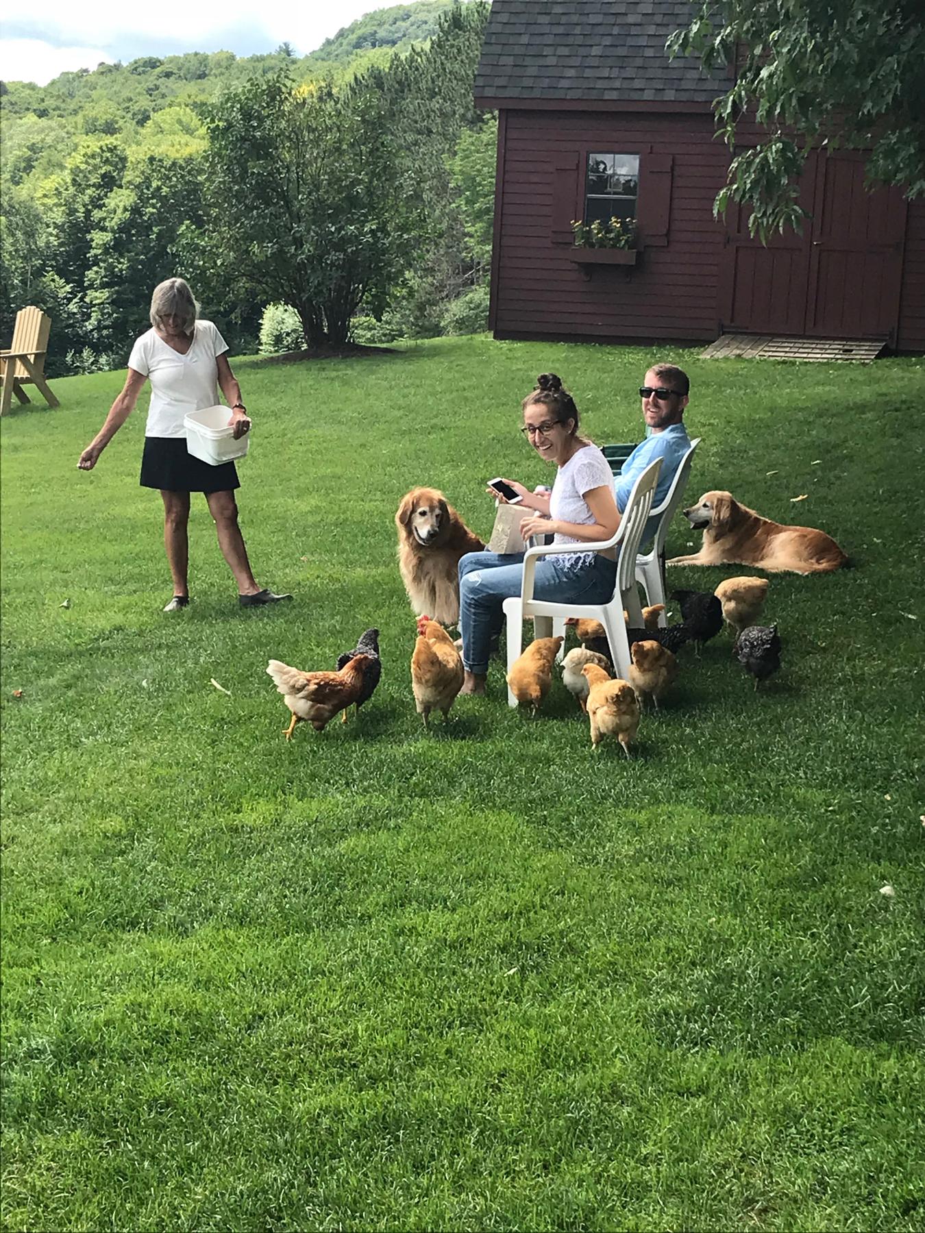 We love Vermont, chimkens, and doggos