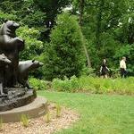 Compton Gardens and Arboretum