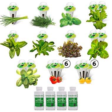 AeroGarden Salad Bar Mix Seed Pod Kit (24 pod)