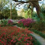 Kanapaha Botanical Gardens