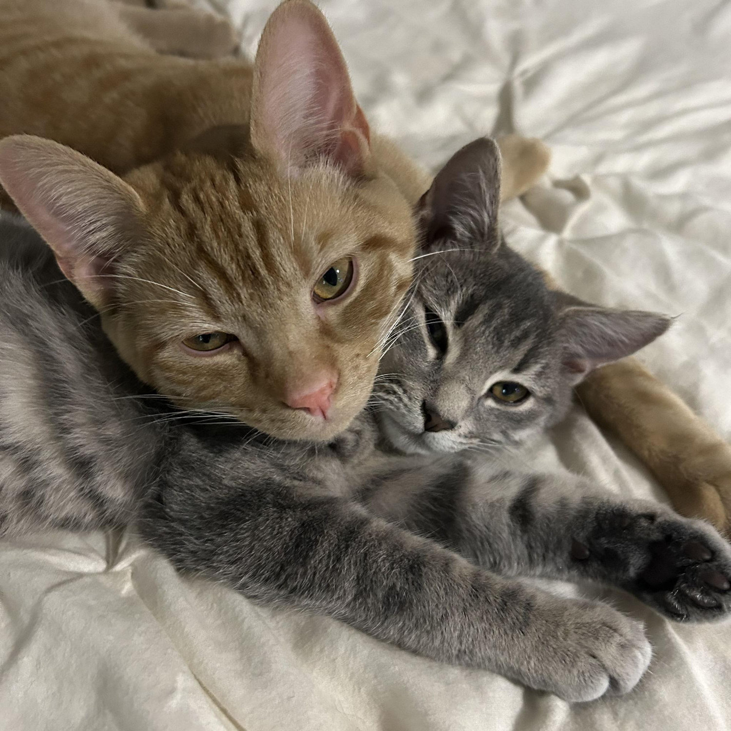 Jameson & Rumpy