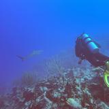 Cane Bay Dive Shop